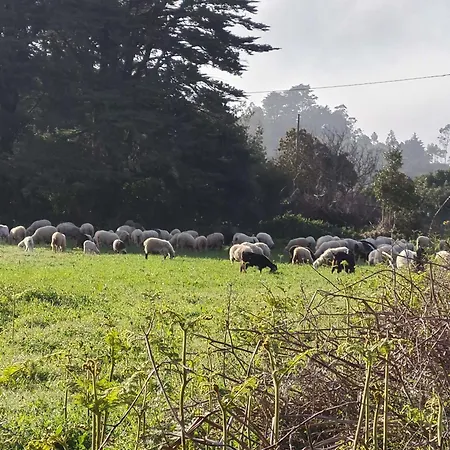 Almacanarias.rural 别墅 La Esperanza (Tenerife)